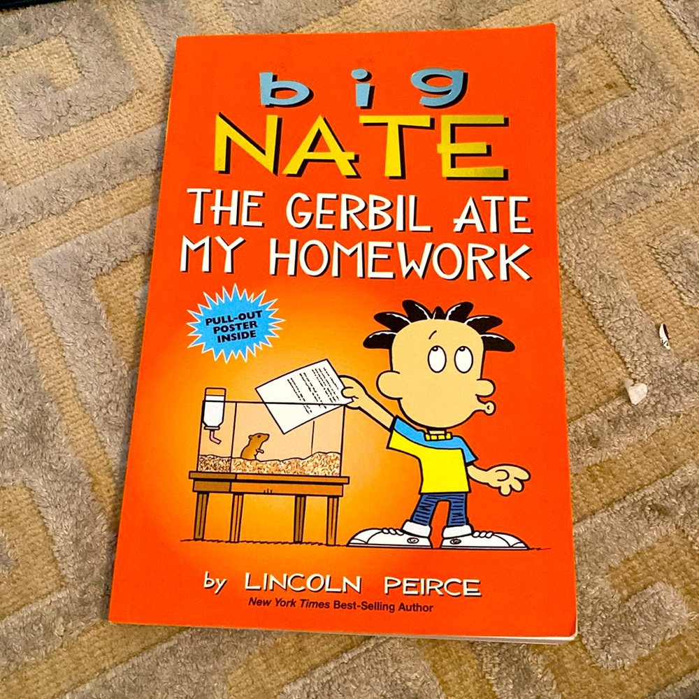 New big Nate book